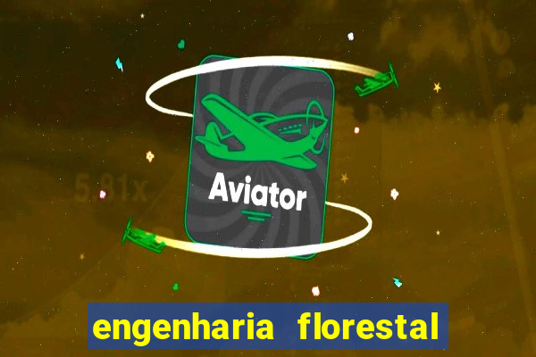 engenharia florestal ead cruzeiro do sul